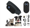 PetView Wireless Camera Collar