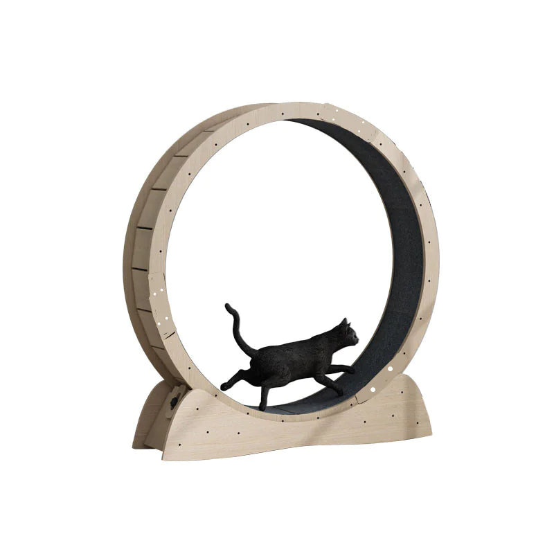 Cat Exercise Wheel