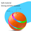 Smart LED Flashing Pet Toy Ball